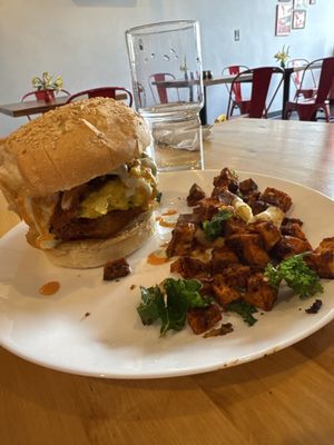 Spacecat V-stro by null