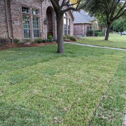 a lawn in front of a house a lawn in front of a house