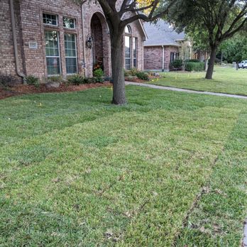 SodScapes Texas - a lawn in front of a house - Landscaping Near Me - Lewisville, Texas SodScapes Texas - a lawn in front of a house - Landscaping Near Me - Lewisville, Texas