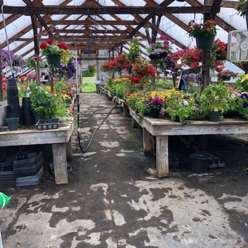 Jillson's Farm and Sugarhouse - the inside of the greenhouse - Specialty Food Near Me - Sabattus, Maine Jillson's Farm and Sugarhouse - the inside of the greenhouse - Specialty Food Near Me - Sabattus, Maine