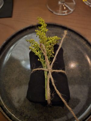 Stubborn Seed Las Vegas by null
