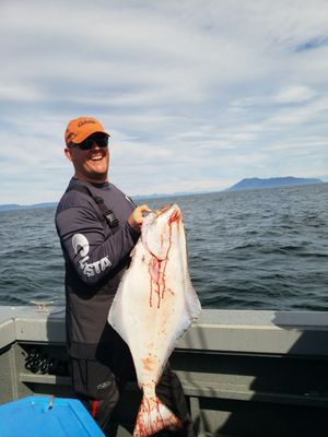 Shelter Cove Alaska Fishing Lodge by null