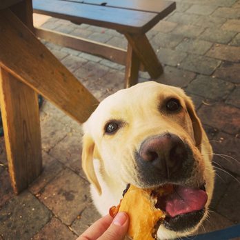 Lefty's Bar & Grill - Dog friendly!!! - Bars Near Me - Ketchum, Idaho Lefty's Bar & Grill - Dog friendly!!! - Bars Near Me - Ketchum, Idaho