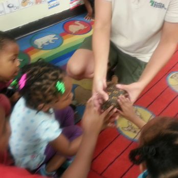 Kids Are Us Learning Center Too - Learning about Reptiles - Special In-house Nature Center Program - Child Care & Day Care Near Me - Washington, DC, District of Columbia Kids Are Us Learning Center Too - Learning about Reptiles - Special In-house Nature Center Program - Child Care & Day Care Near Me - Washington, DC, District of Columbia