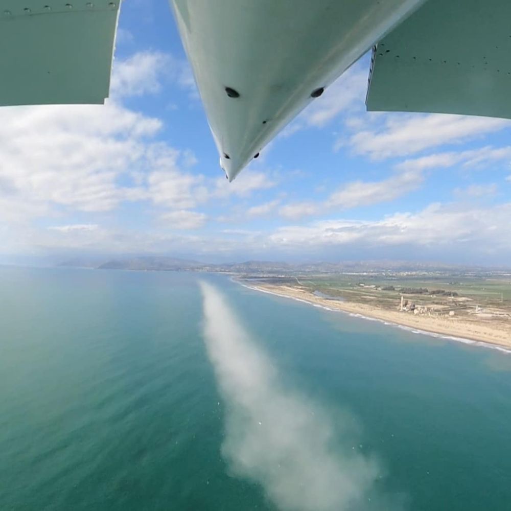 Photo from A Journey with Wings of the scattering