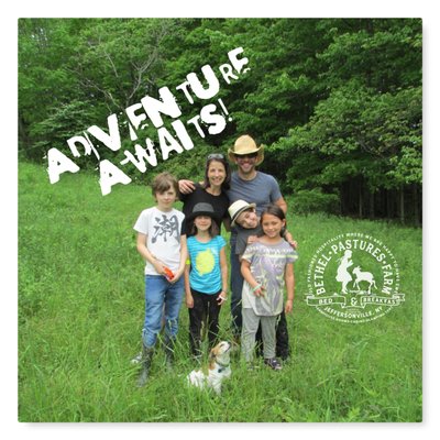 Bethel Pastures Farm Bed & Breakfast by null