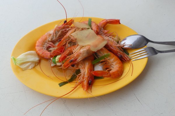 Season Live Seafood by null