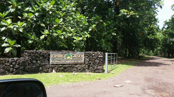 Kahanu Garden, National Tropical Botanical Garden by null