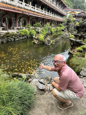 Sam Poh Tong Temple by null