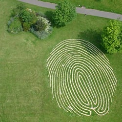 Hove Park - Finger Print Maze (Photo from http://static.panoramio.com/photos/original/8586481.jpg)