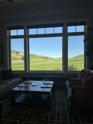 Parrish Family Vineyard by null