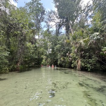 King's Landing - View from the Kayak in the river - Rafting/Kayaking Near Me - Apopka, Florida