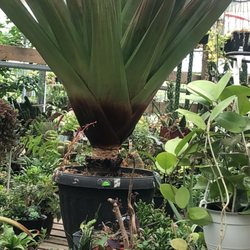 Sunrise Garden Centre