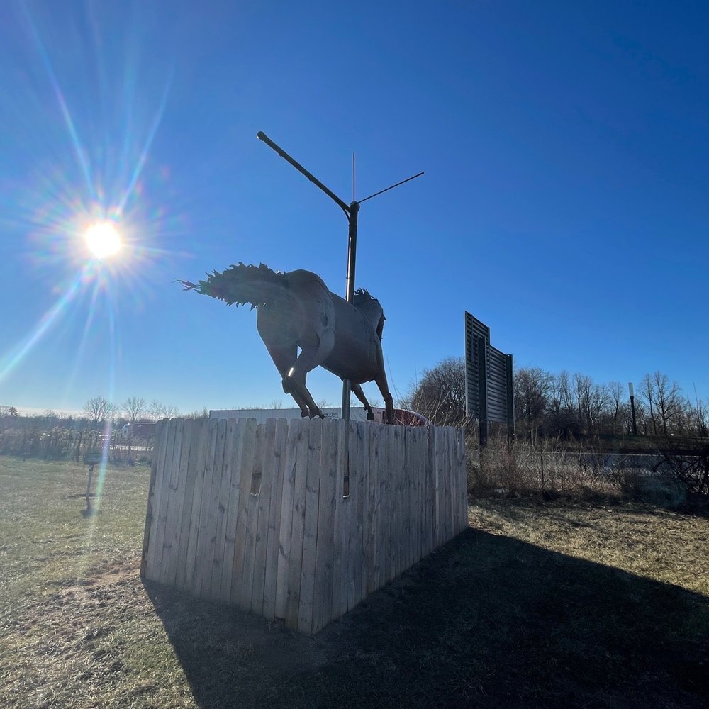 Shinn Horse - Public Art Near Me - Indianapolis, Indiana