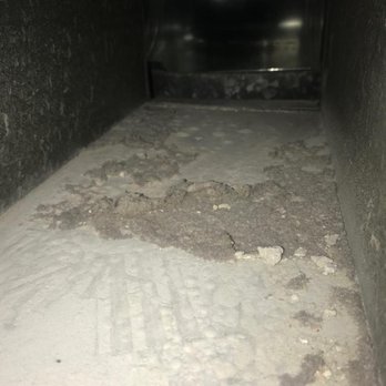 Lions Air Duct Services - In the process Lee took pictures and show us everything. - Air Duct Cleaning Near Me - Culver City, California Lions Air Duct Services - In the process Lee took pictures and show us everything. - Air Duct Cleaning Near Me - Culver City, California