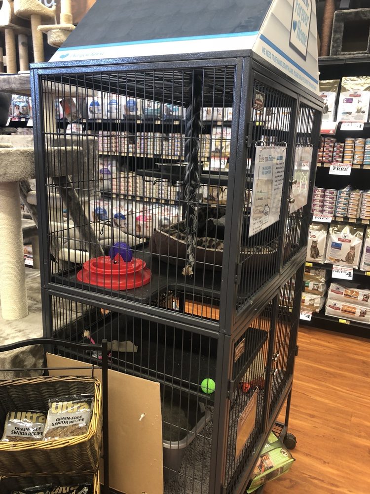 pet valu pill pockets