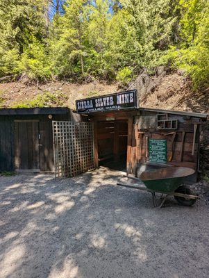 Sierra Silver Mine Tour, Inc. by null