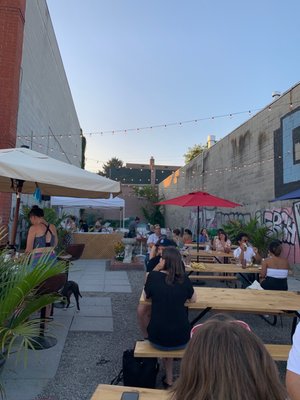 Paradise Grapevine by null