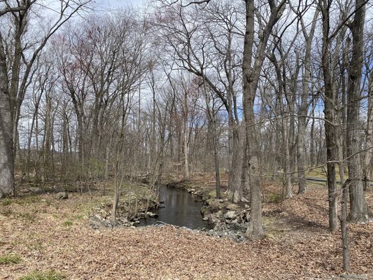 Darlington County Park by null