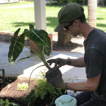 Dotson Gardens - Details matter! This client wanted local plants that sized well for specific spaces. Knowing plant options has never been a more valuable. - Gardeners Near Me