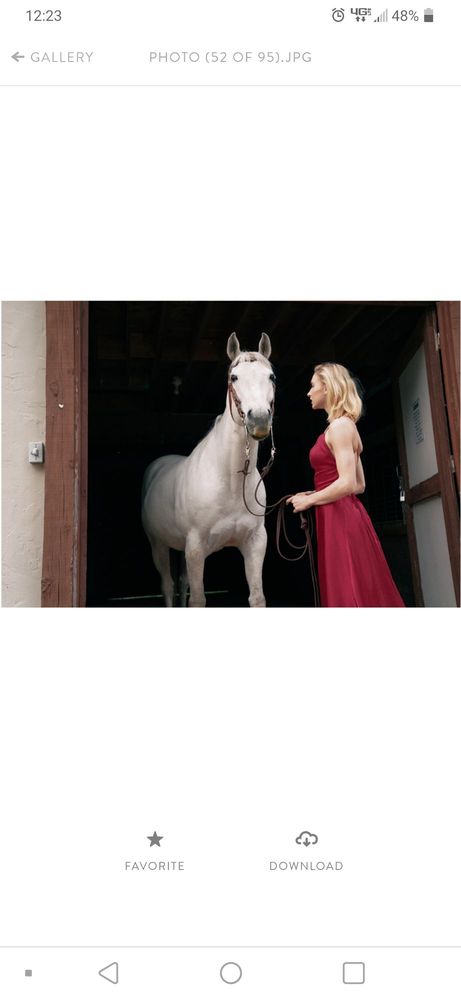 RnR Stables - equestrian in Jordan, MN