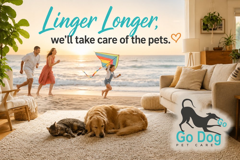 Go Dog Go Pet Care - pet boarding facility in Billerica, MA