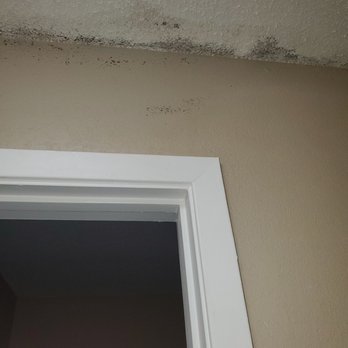 Super 8 by Wyndham Crestview - Mold on the ceiling in bathroom - Hotels Near Me - Crestview, Florida Super 8 by Wyndham Crestview - Mold on the ceiling in bathroom - Hotels Near Me - Crestview, Florida