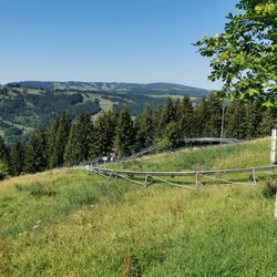 Alpsee Coaster