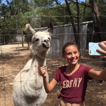 Austin Zoo - Llama selfie - Zoos Near Me - Austin, Texas