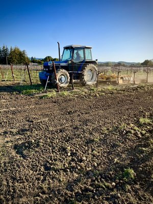 Suisun Creek Winery by null