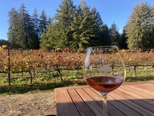 Windy Oaks Winery by null