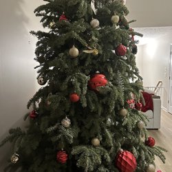 Big John's Christmas Trees