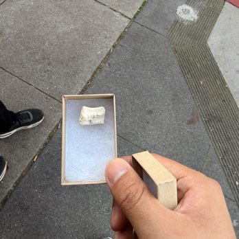 Paxton Gate - Hand bone - Home Decor Near Me - San Francisco, California Paxton Gate - Hand bone - Home Decor Near Me - San Francisco, California