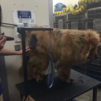 PetSmart - Pet Stores Near Me - Canoga Park, California