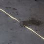 Photo of RD Window Cleaning