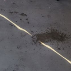 RD Window Cleaning - Stain