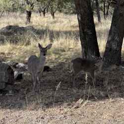 Bog Springs Campground