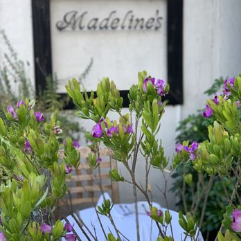 Madeline's - New American Near Me - Cambria, California