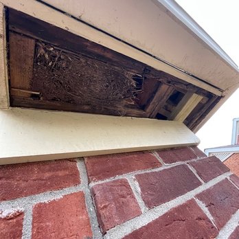 Walsh & Son Carpentry - Before picture of damaged soffit. - Carpenters Near Me Walsh & Son Carpentry - Before picture of damaged soffit. - Carpenters Near Me