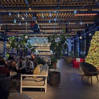 Anaqua Garden Bar - Bars Near Me - San Antonio, Texas