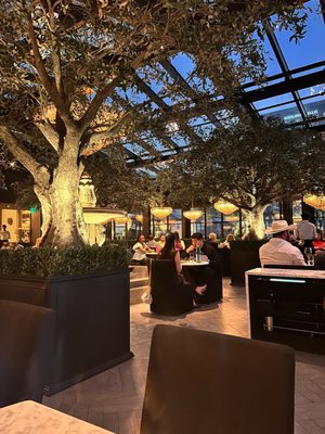 RH Rooftop Restaurant at RH Dallas by null