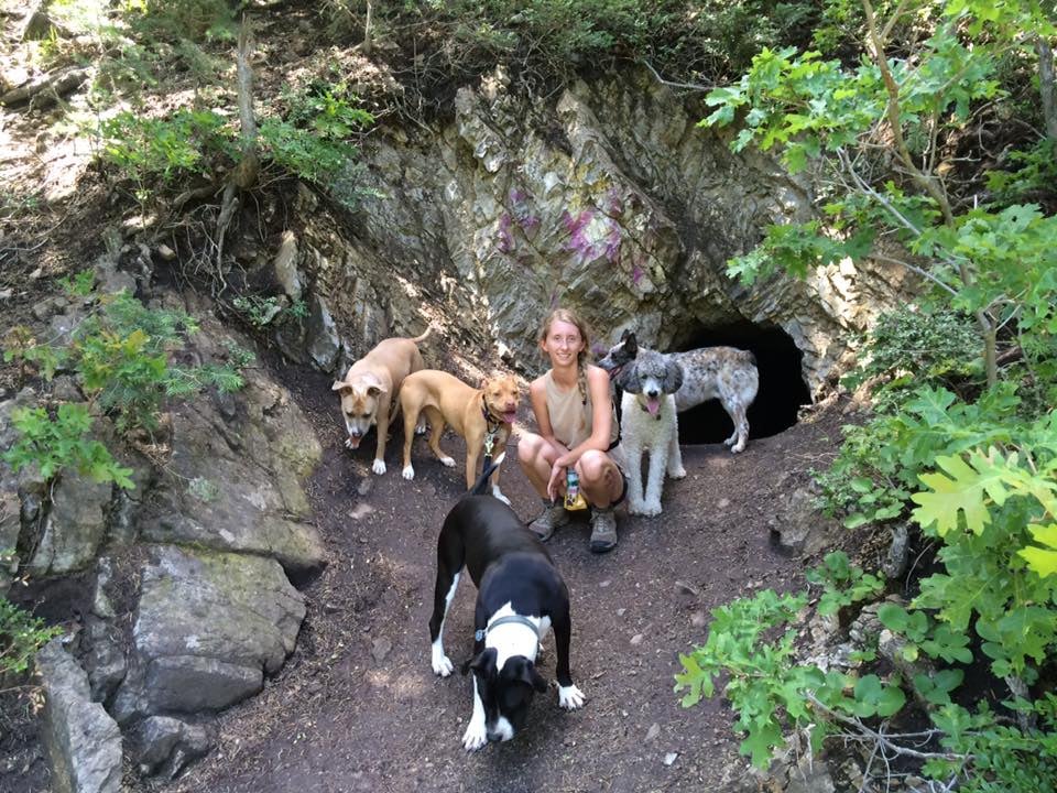 TAILS ON TRAILS 23 Photos 76 Blvd Gardens, Salt Lake City, Utah