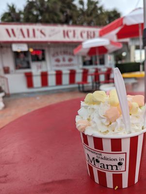 Walls Old Fashioned Ice Cream by null
