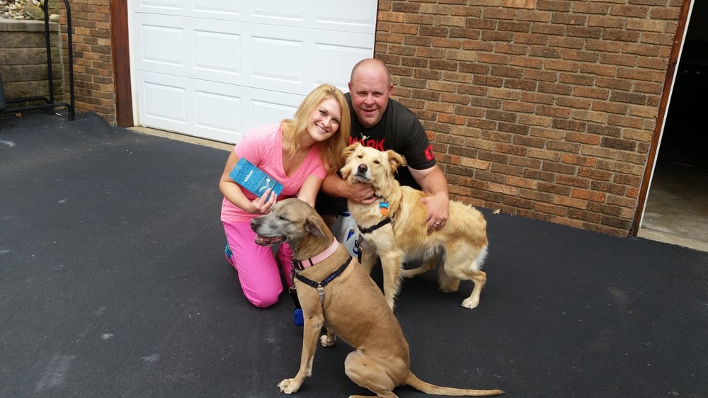 YOUNGWOOD TOP DOG SERVICES 100 Lincoln St, Youngwood, Pennsylvania