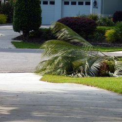 Trevor Brown's Tree Service