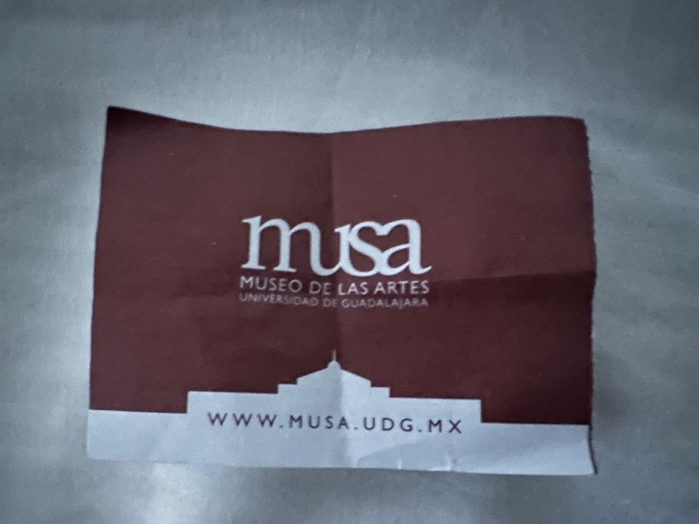 Musa Museo de las Artes