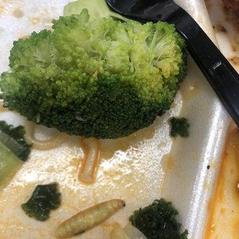 Panda Express - I ordered lunch for myself coworkers and daughter from panda and had this worm inside of my food not found until I was almost done. - Chinese Near Me - Glendale, Arizona