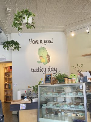 Sipping Turtle Cafe by null