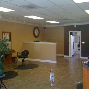 Wild Hair - Hair Salons Near Me - Pleasanton, California Wild Hair - Hair Salons Near Me - Pleasanton, California