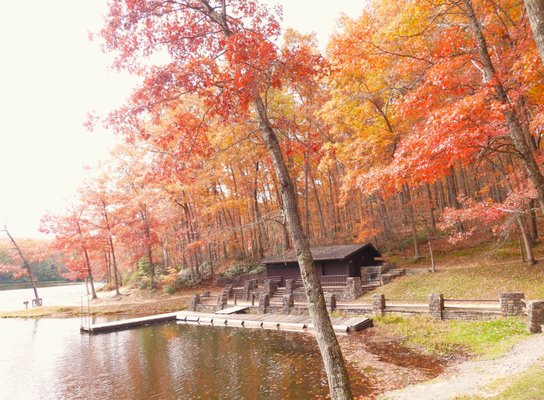 Babcock State Park by null